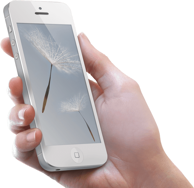 Phone